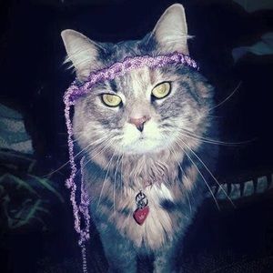 Meet your Posher, Dustin